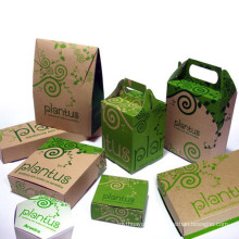 Paper Food Packing Boxes/Food Box/Fast Food Take Away Box